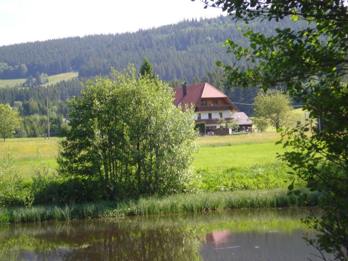 Ferienwohnung Ferienhaus Ehinger Breitnau Exterior foto