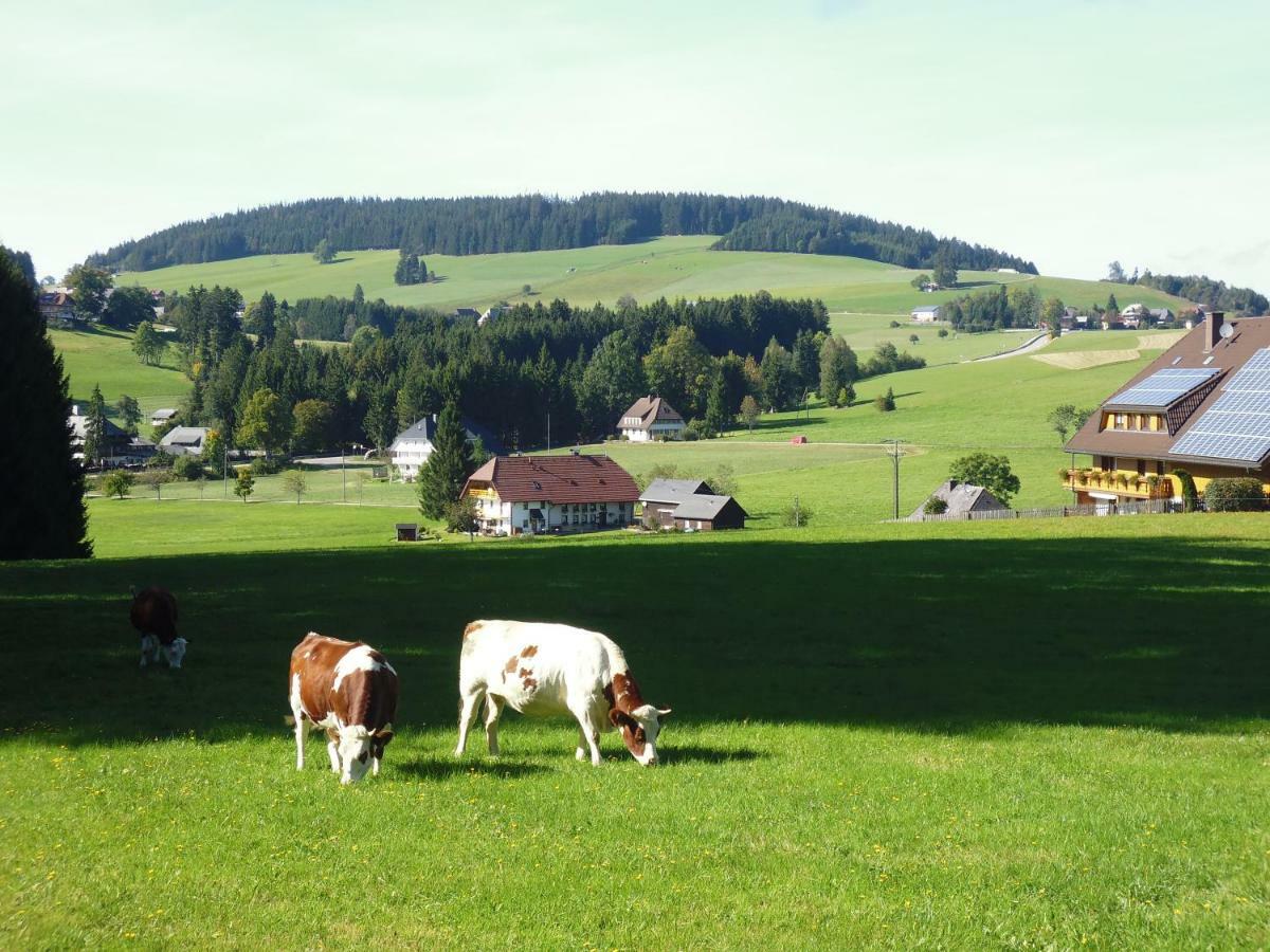 Ferienwohnung Ferienhaus Ehinger Breitnau Exterior foto