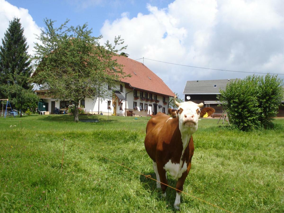 Ferienwohnung Ferienhaus Ehinger Breitnau Exterior foto