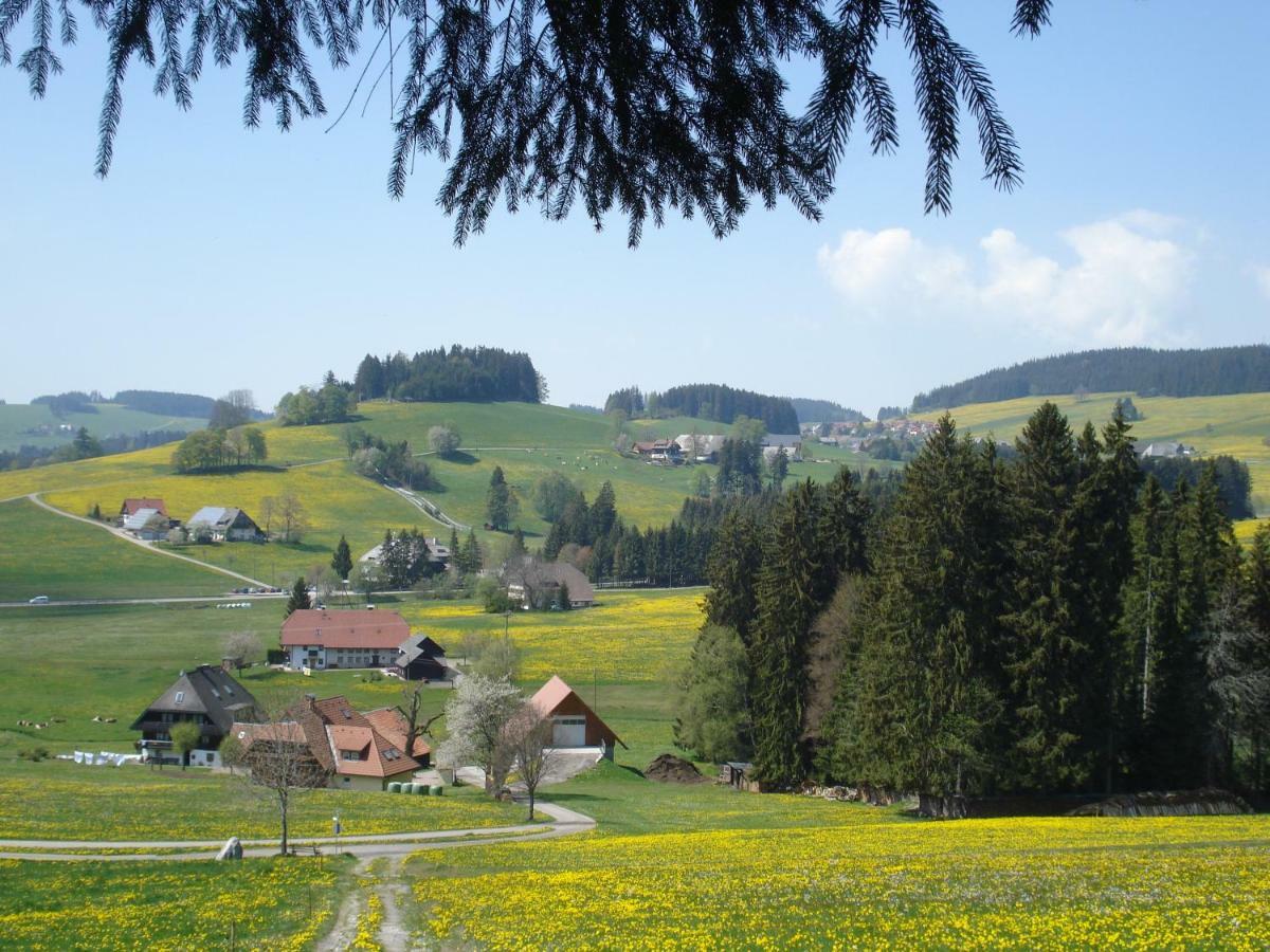 Ferienwohnung Ferienhaus Ehinger Breitnau Exterior foto