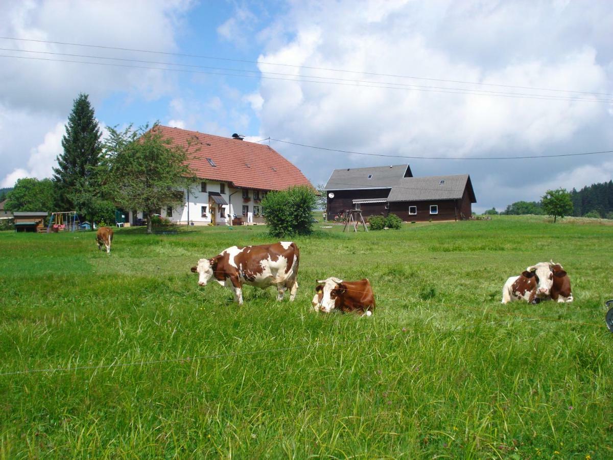 Ferienwohnung Ferienhaus Ehinger Breitnau Exterior foto