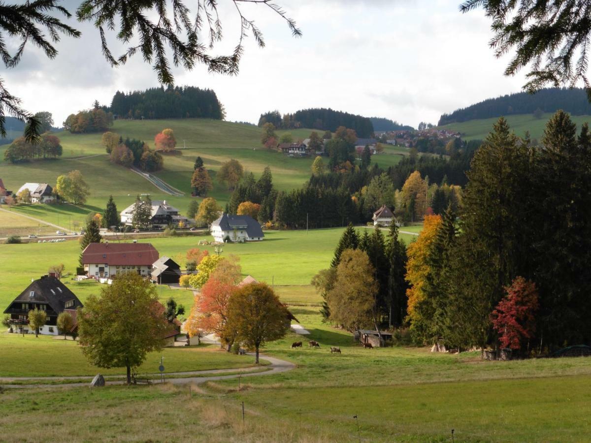 Ferienwohnung Ferienhaus Ehinger Breitnau Exterior foto