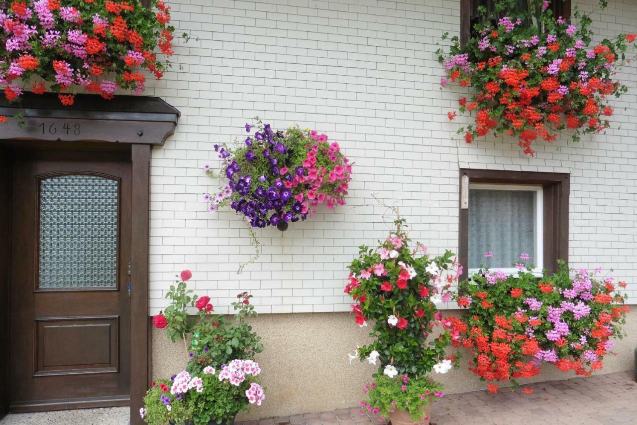 Ferienwohnung Ferienhaus Ehinger Breitnau Exterior foto